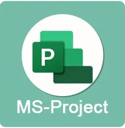 MS Project Course in Vizag 